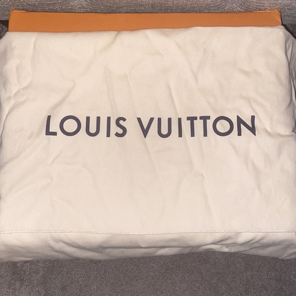 Louis Vuitton Neverfull Mm - Picture 4 of 6
